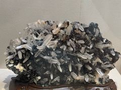 -安徽省地质博物馆