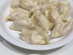 -东方饺子王臻味餐厅(新嘉坡城店)