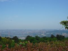 -铁山坪森林公园