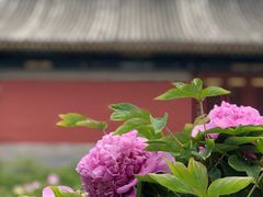 -大钟寺古钟博物馆