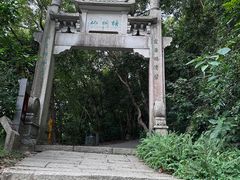 -梧桐山风景名胜区