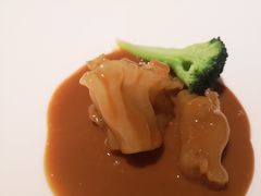 -觀芷隐轩
