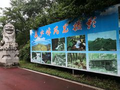 -五女峰国家森林公园