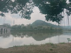 -顺峰山公园