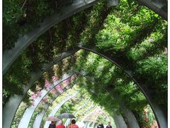 -布里斯班南岸公园