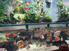 -太平洋海底世界