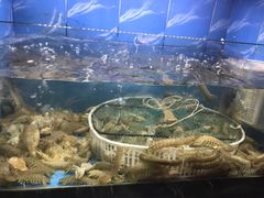 -V-ONE西雅图海鲜自助餐厅(仓山万达广场店)