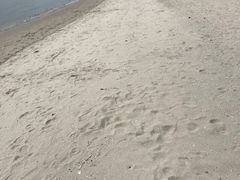 -台场海滨公园船码头