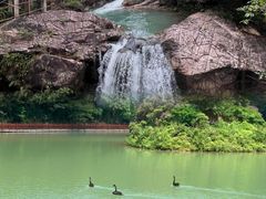 -广州白江湖森林公园