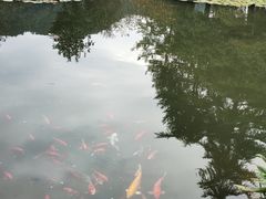 -中国茶叶博物馆(双峰馆区)
