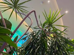 -桂满陇·蟹黄小笼汤包(清河万象店)
