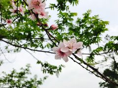 -白塘生态植物园