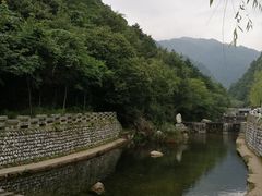 -牛背梁国家森林公园
