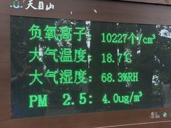 -天目山大树王景区
