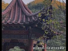 -后柳水乡