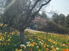 -名花谷生态庄园