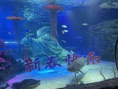 -沈阳海洋探索中心