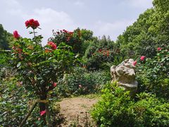 -东湖落雁景区