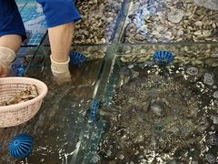-木木鲜海鲜面(天一店)