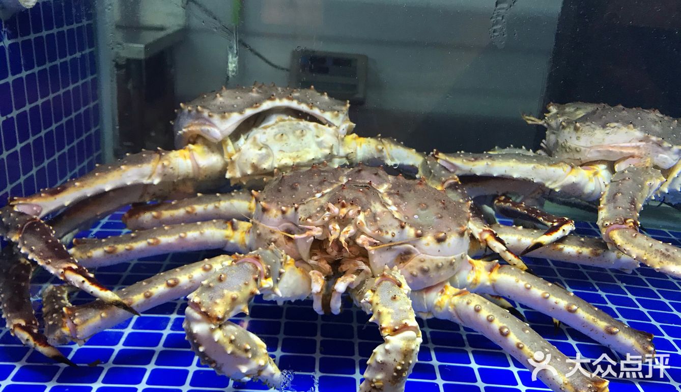 海派粤菜醉辉煌