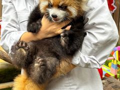 -常州淹城野生动物世界