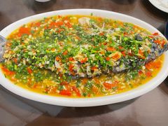 飞虹鱼-飞虹鱼馆(春华路店)