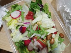 养生田园大拌菜-正阳春鸭子楼(汉沽店)