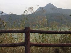 -羚羊峡古栈道森林公园