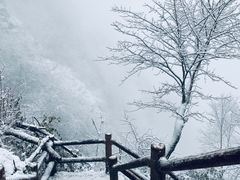 -九峰山