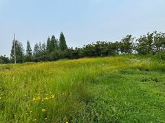 -下渚湖国家湿地公园科普馆