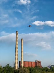 -Oasis Beauty水磨坊科技美肤中心