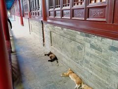 -万寿八仙宫