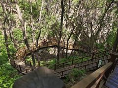 -大岭沟猕猴桃谷风景区