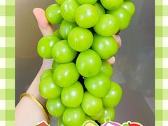 -沈阳市八家子水果批发市场