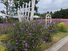 -同里国家湿地公园
