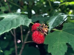 -湖洞水自然风景区