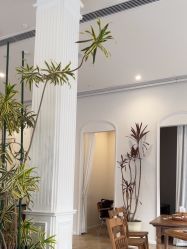 -WAVE SODA摄影工作室