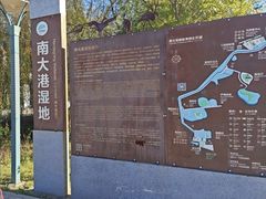 -南大港湿地风景区