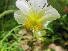 -中国公安部总部大楼