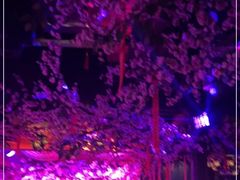 -周庄红庭演艺酒吧