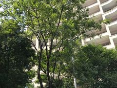 -碧桂园凤凰城酒店(南京店)