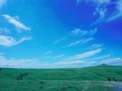 -张北坝上草原