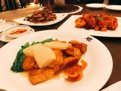 榆耳竹笙烧豆腐-嘉麟楼