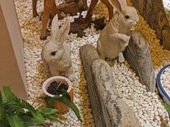 -二分八云雁阁•新晋菜大同味(长治路店)