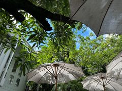 -Fern Forest Cafe