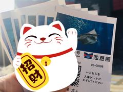 -大阪海游馆