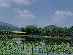 -石塘人家