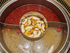 鸳鸯锅-鲜货俚鲜火锅(青果路店)