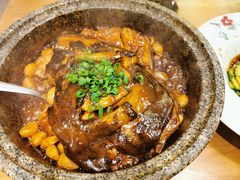 -海派美食·家宴海鲜青岛菜·石锅鲽鱼头(东方城店)