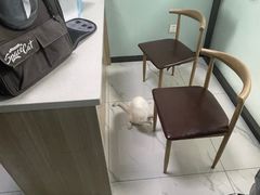 -嘉馨宠物医院·CT影像转诊·心脏科·犬猫全科诊疗中心(下沙大学城院区)